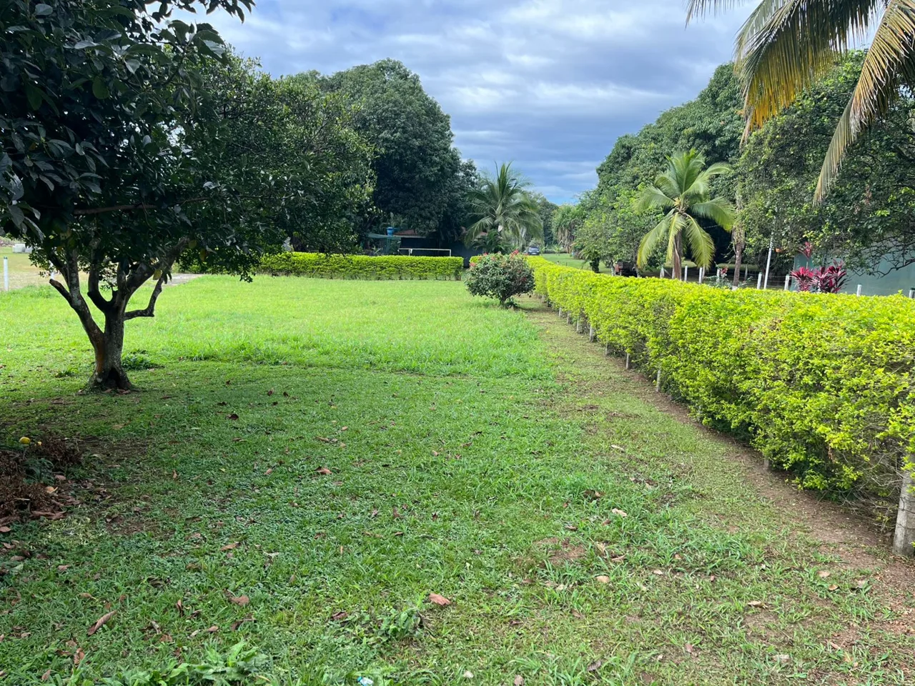 🌟 Lot for Sale in Orotina – Calle El Tigre 🌟