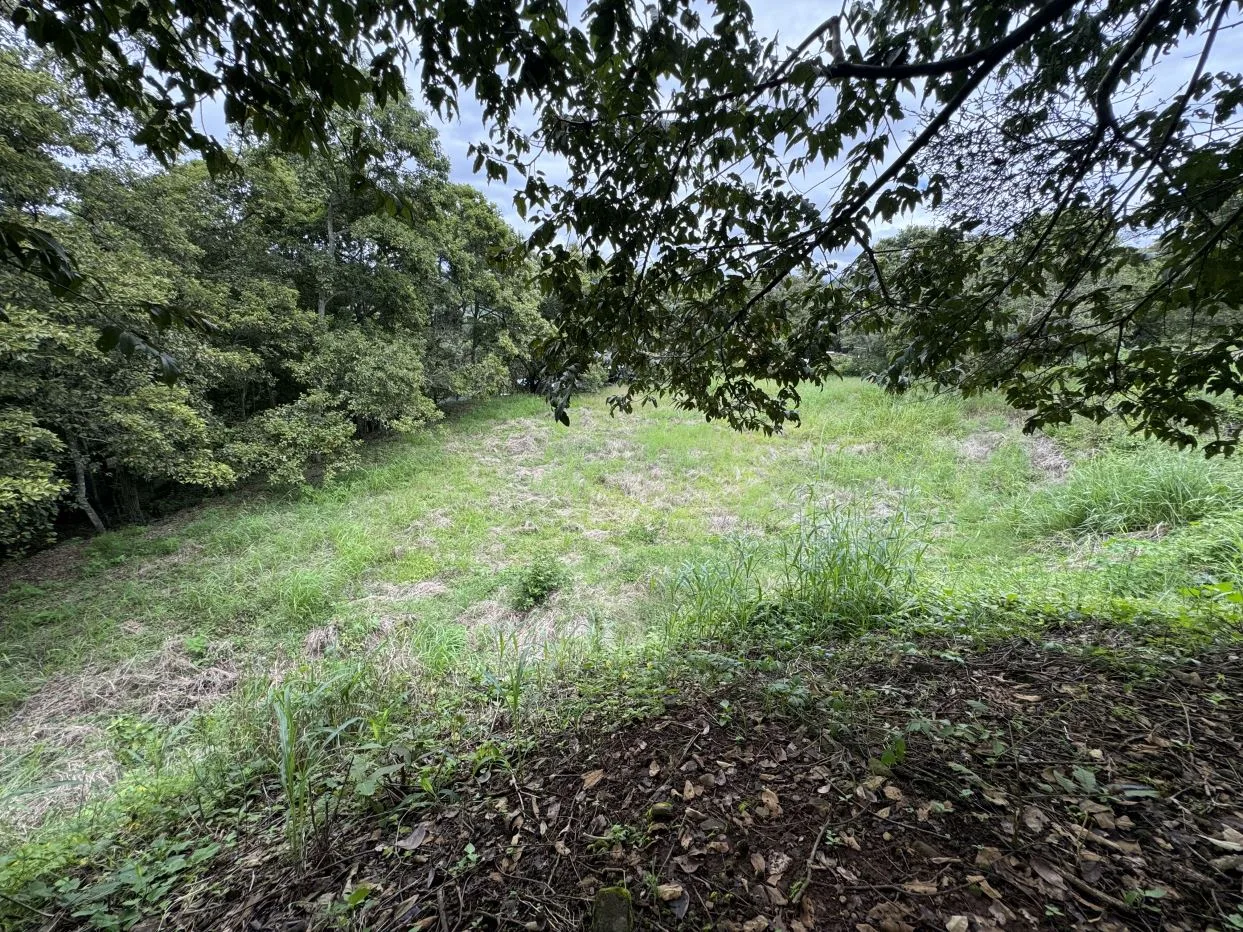 Land for sale in La Garita, Alajuela