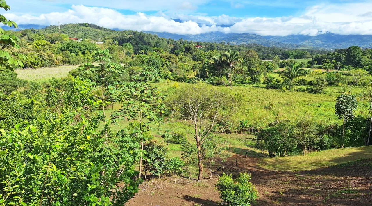 Sustainable Property For Sale in the privacy of Perez Zeledon, Rosario De Pacuar — photo 5