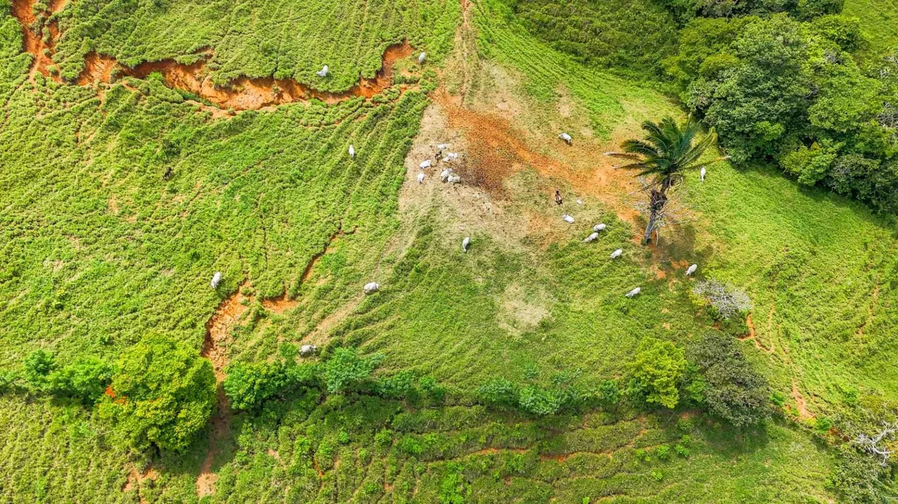 464-Acre Farm in Costa Rica with Springs, Waterfall, River &amp; Mountain View