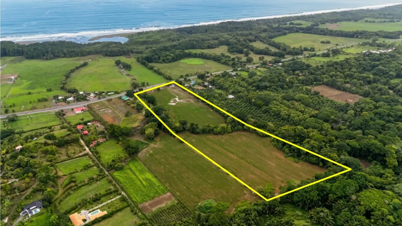 Farm for Sale – 7.06 Hectares Fronting the Coastal Highway in Matapalo