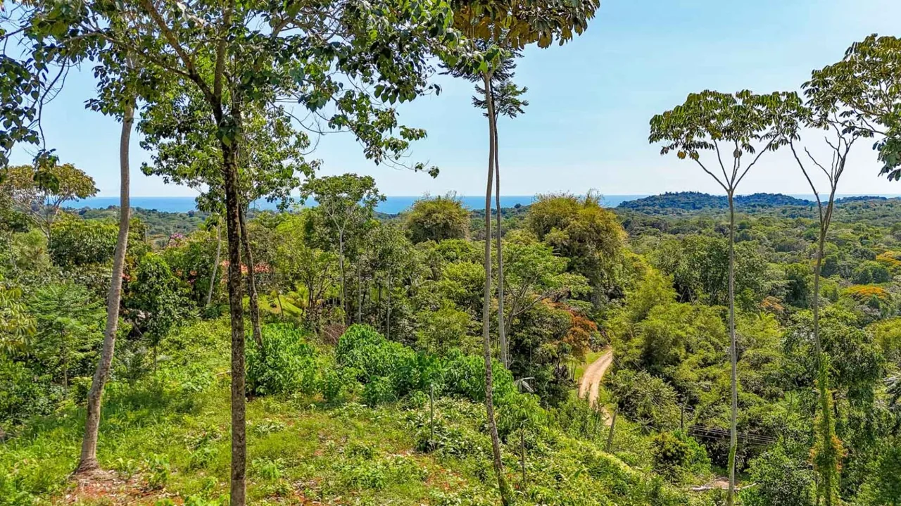 5.75 Acre Land for Sale in Ojochal | Ocean View Development Property