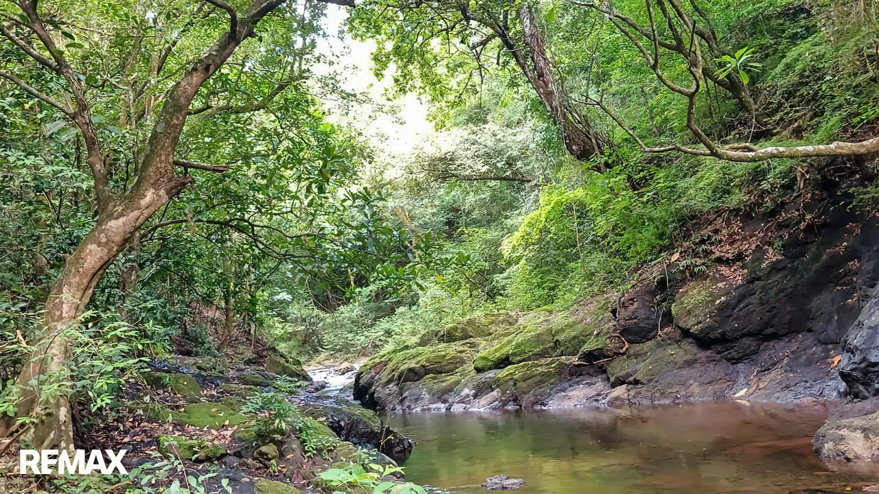 OFF GRID LIVING- SAN JUANILLO, GUANACASTE