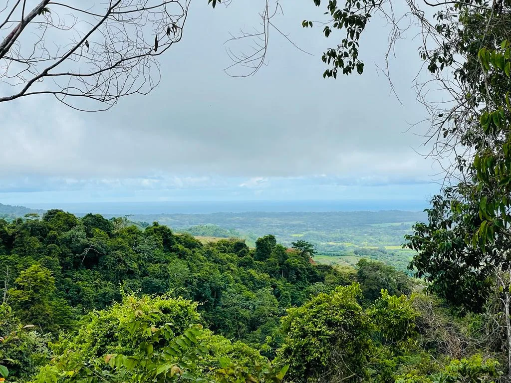 BEAUTIFUL LAND OCEAN VIEW