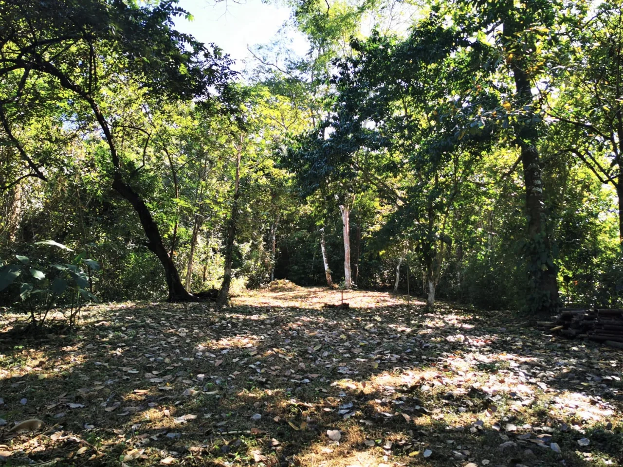 Eco-Friendly Residential Development Lot Opportunity in Mal Pais - Steps to the Beach!