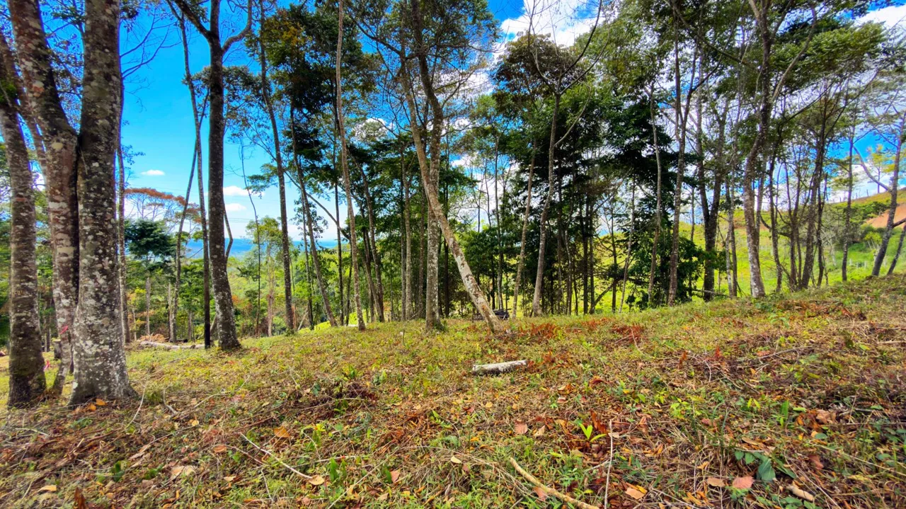 For Sale: Beautiful Mountain 706m2 Residential Lot in Quebradas - CR — photo 2