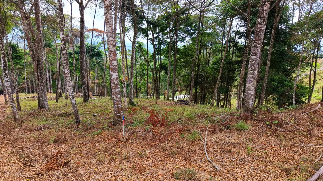 For Sale: Beautiful Mountain 706m2 Residential Lot in Quebradas - CR — photo 4