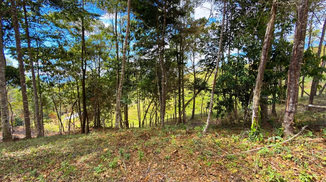 For Sale: Beautiful Mountain 706m2 Residential Lot in Quebradas - CR — photo 5