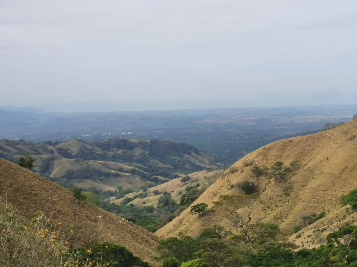 More than 7 acres with amazing mountains and ocean views!
