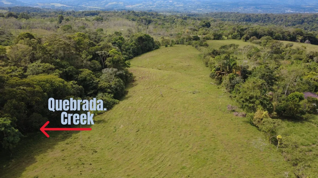Awesome Farm for Sale in Quizarra with beautiful year round creek on the border — photo 3