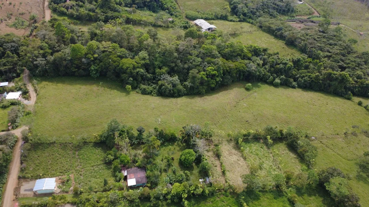 Awesome Farm for Sale in Quizarra with beautiful year round creek on the border — photo 4
