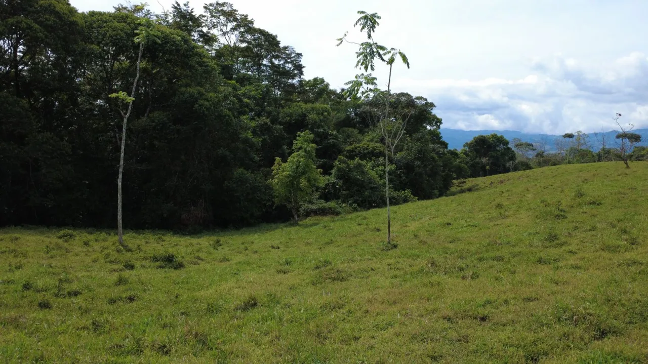 Awesome Farm for Sale in Quizarra with beautiful year round creek on the border — photo 5