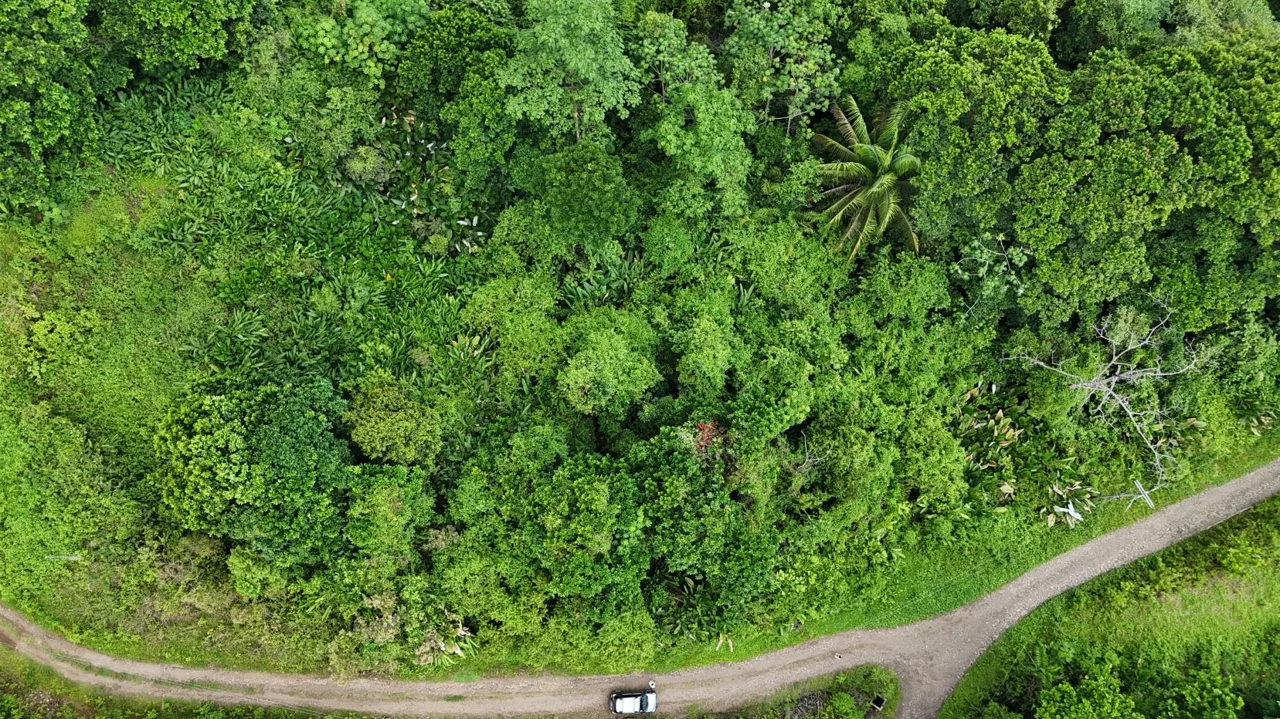 Prime 5,225 m² Lot for Sale – Excellent Location in organized community - pocket ocean view