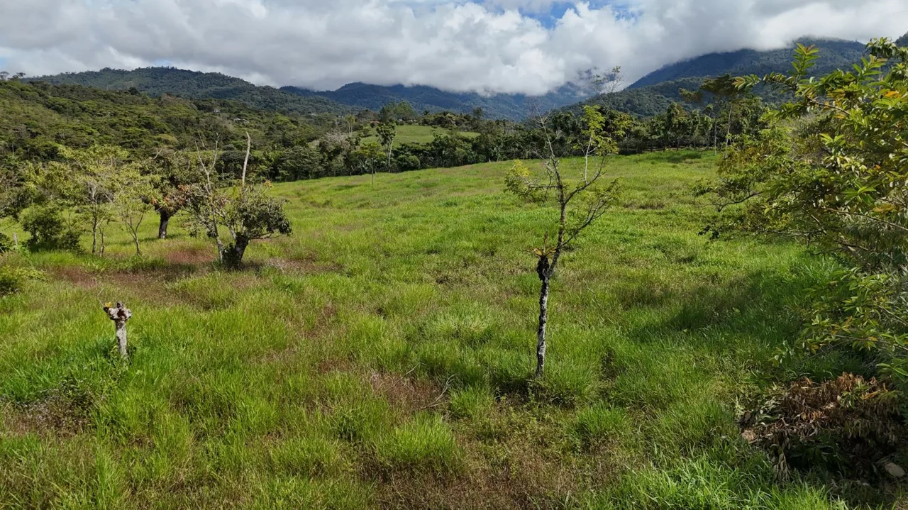 Luxury Lot for Sale in Santa Elena, Nature, Privacy, and Excellent Location — photo 5