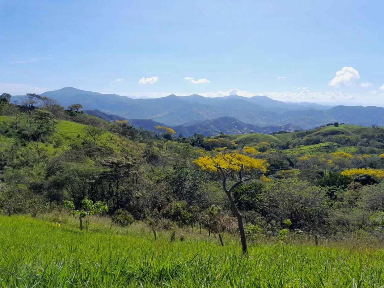 1,500 m² Ocean-View Building Lot in Nicoya Blue Zone