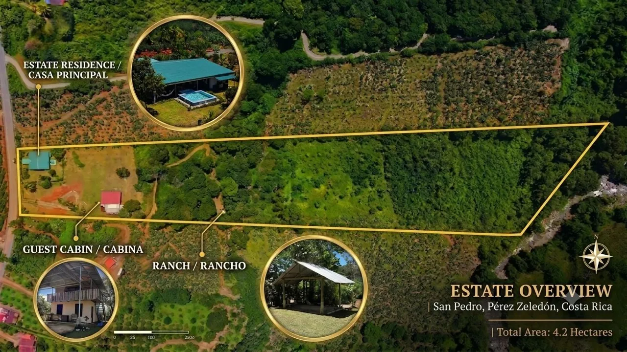 4.2 Hectare Farm in San Pedro de Perez Zeledon with Spring and River — photo 2