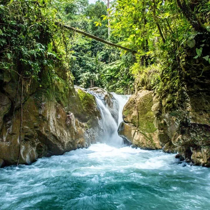 Lot #29 for Sale in a Residential Family Focused community with Waldorf School - RISE Costa Rica