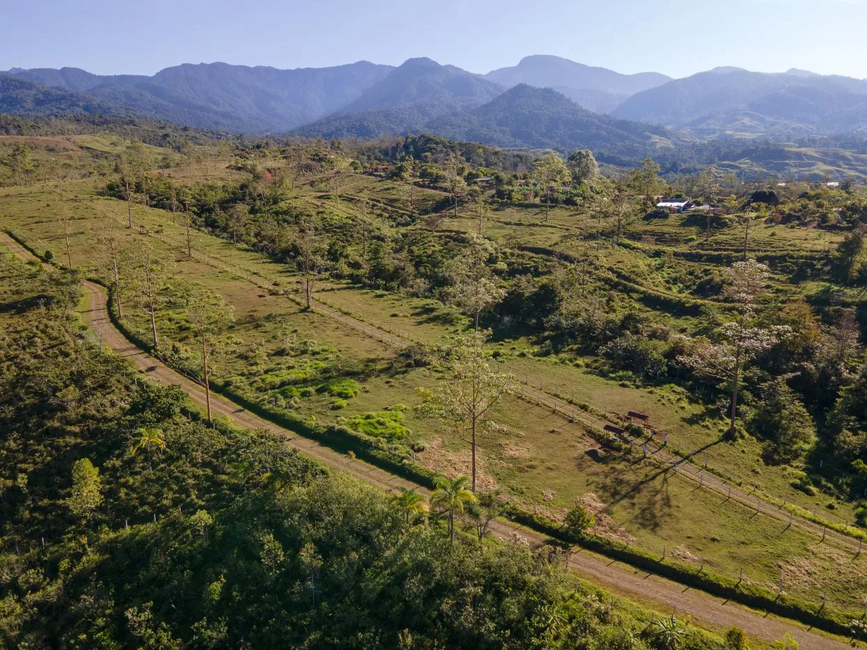 Lot #29 for Sale in a Residential Family Focused community with Waldorf School - RISE Costa Rica — photo 2