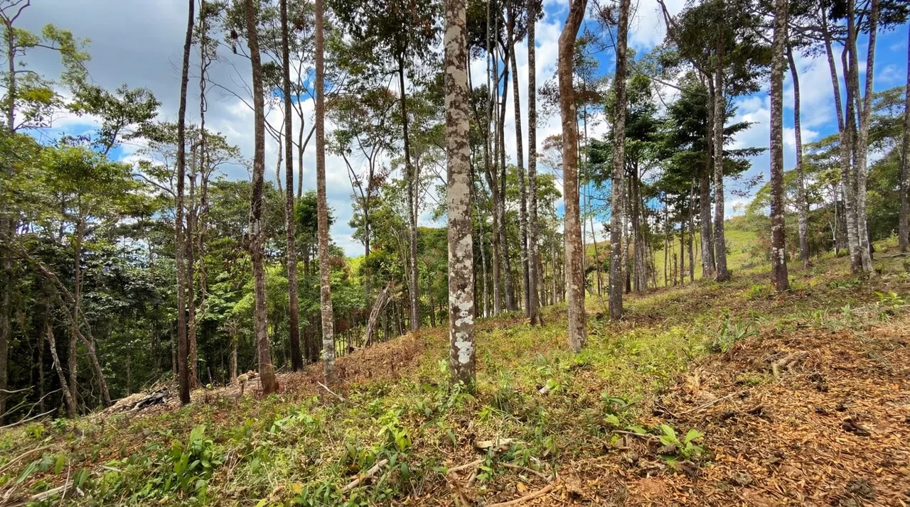 For Sale: Beautiful Mountain 808m2 Residential Lot in Quebradas - CR — photo 2