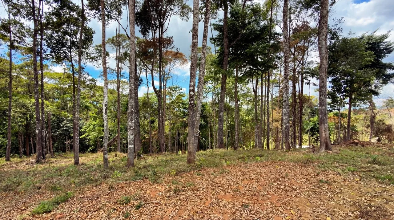 For Sale: Beautiful Mountain 808m2 Residential Lot in Quebradas - CR — photo 4