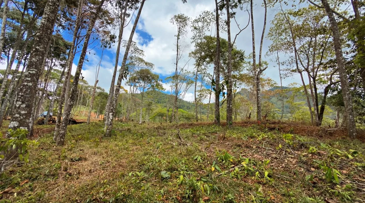 For Sale: Beautiful Mountain 808m2 Residential Lot in Quebradas - CR — photo 5