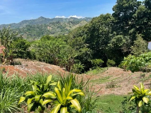 Affordable lot with views in Atenas