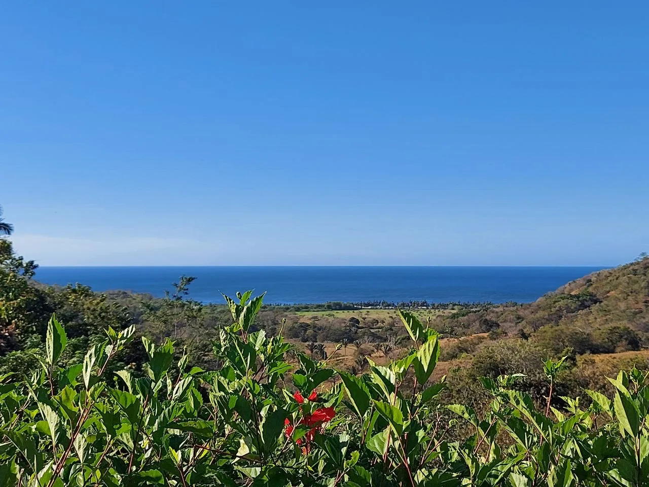DIAMOND SEA VIEW PLOT IN COROZALITO