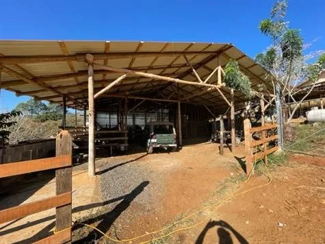 38,334m2 functioning farm with home and stables