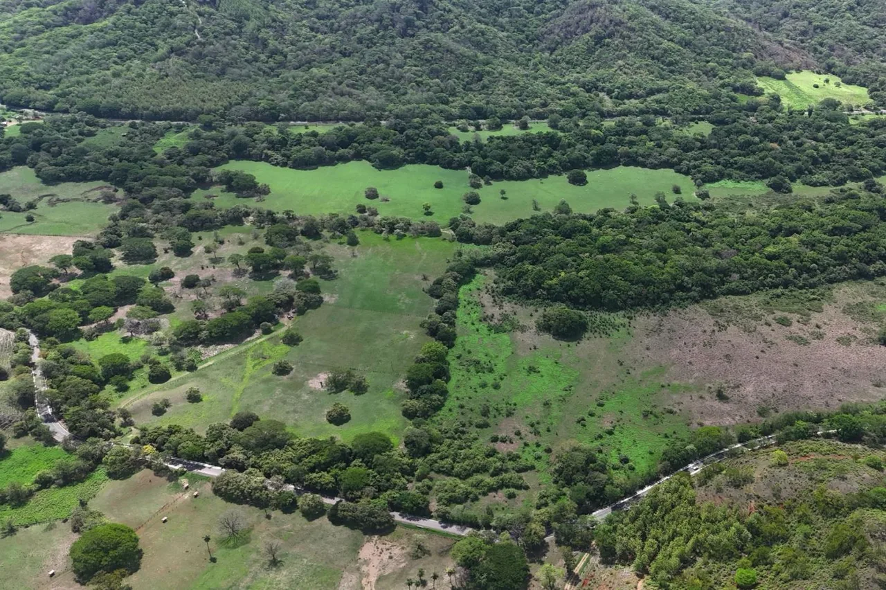 26.04 Hectare Farm in Río Seco ~ Water, Pasture &amp; Development Potential Near Playa Junquillal
