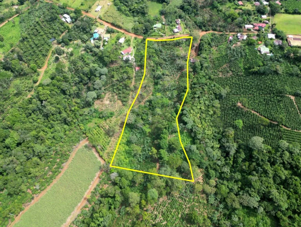 Beautiful land ( 2 hectares / 5 acres) with the best Location in Santa Elena, Perez Zeledon