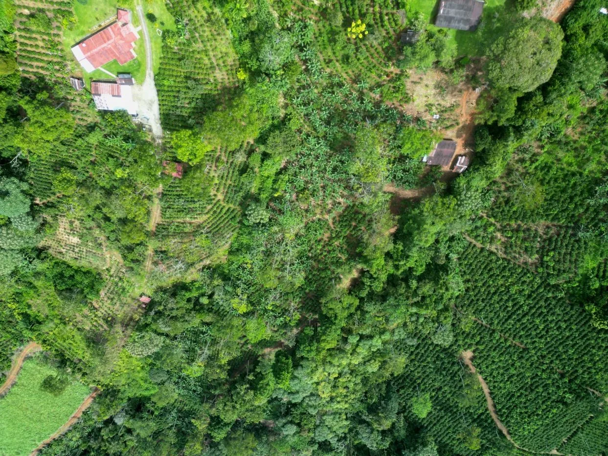 Beautiful land ( 2 hectares / 5 acres) with the best Location in Santa Elena, Perez Zeledon — photo 2