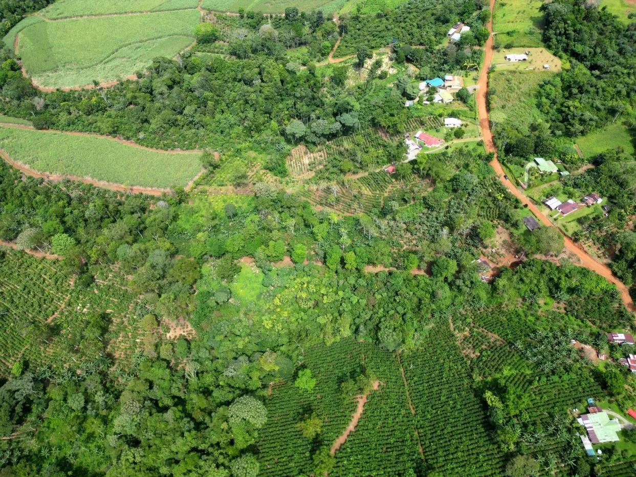 Beautiful land ( 2 hectares / 5 acres) with the best Location in Santa Elena, Perez Zeledon — photo 3