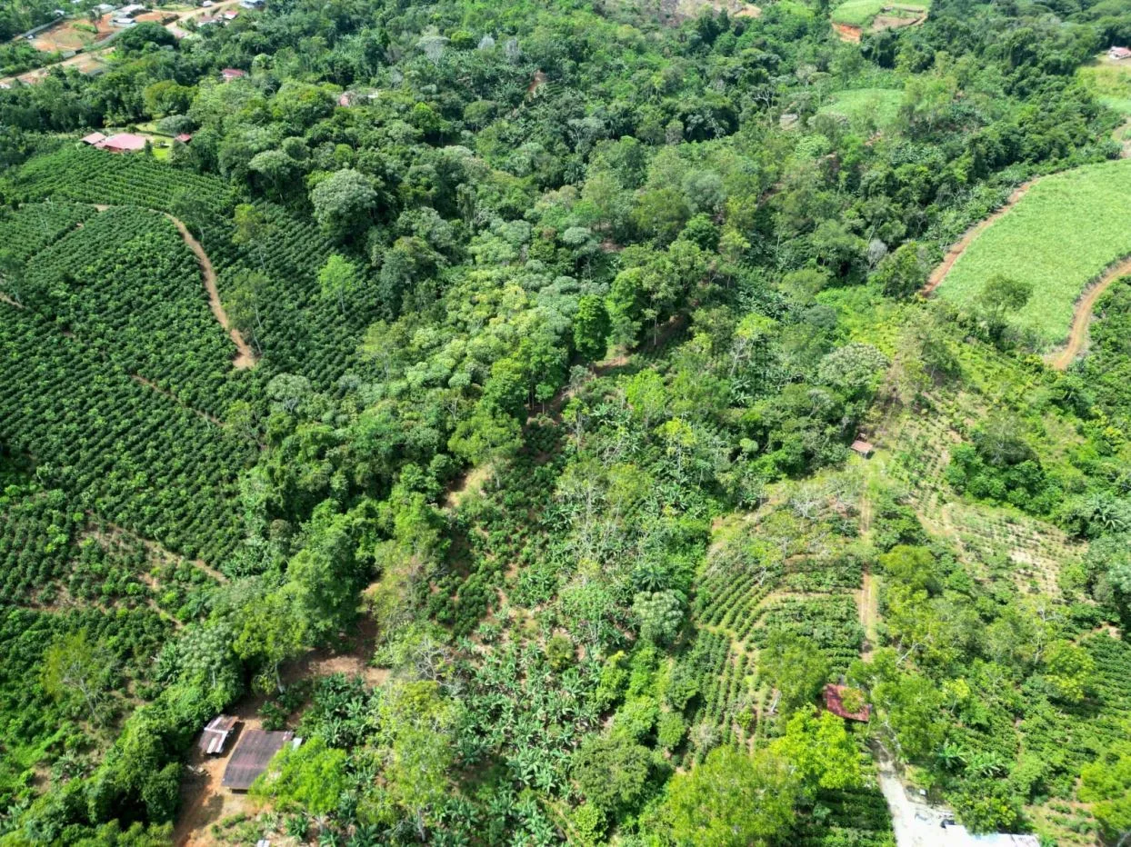 Beautiful land ( 2 hectares / 5 acres) with the best Location in Santa Elena, Perez Zeledon — photo 4