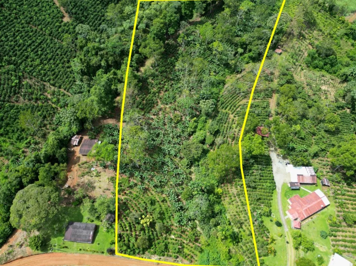 Beautiful land ( 2 hectares / 5 acres) with the best Location in Santa Elena, Perez Zeledon — photo 5