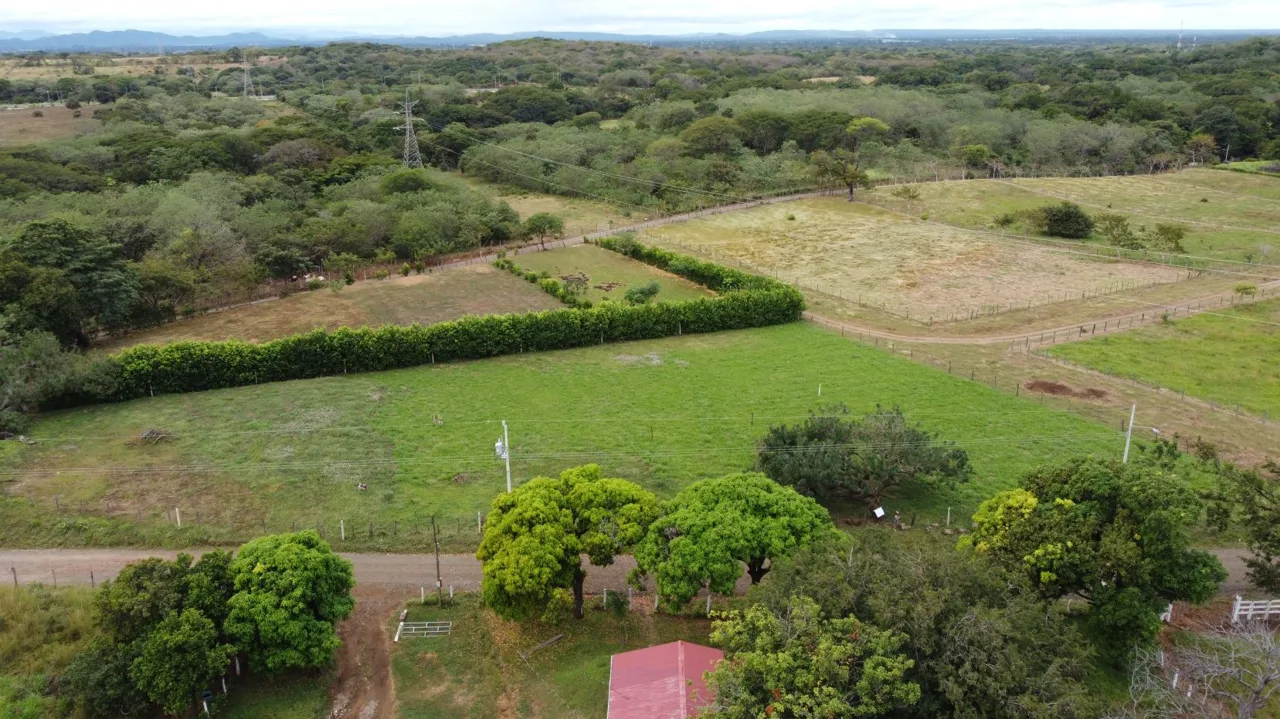 Lots for Sale – 1 km north of the National Production Council (CNP) warehouses