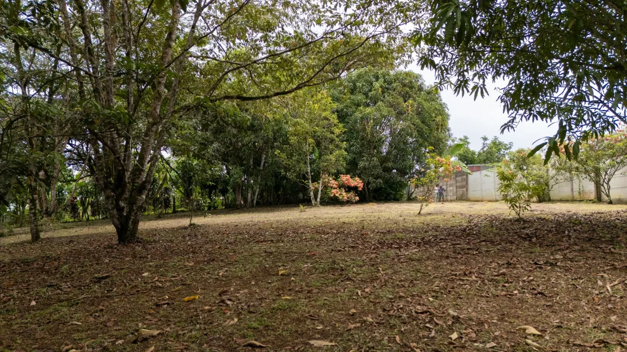 Spacious Lot for sale in Perez Zeledon — photo 4