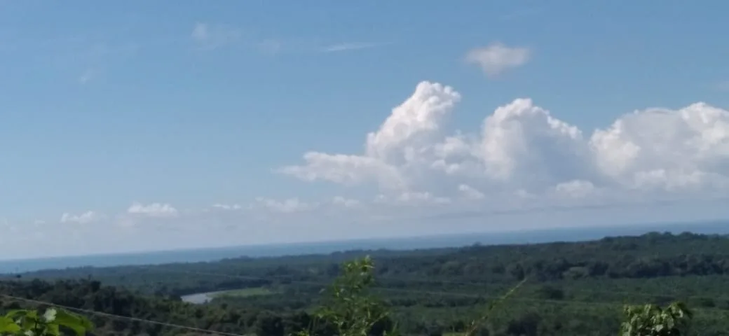 PERFECT OPPORTUNITY FOR AN ECOLOGICAL PROJECT; FARM, THE SILENCE, QUEPOS FOR SALE!!!