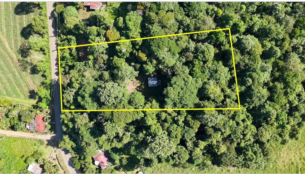 Stunning Land of 6,545 M² For Sale In Peñas Blancas, Pérez Zeledón – Nature, Privacy, And Comfort