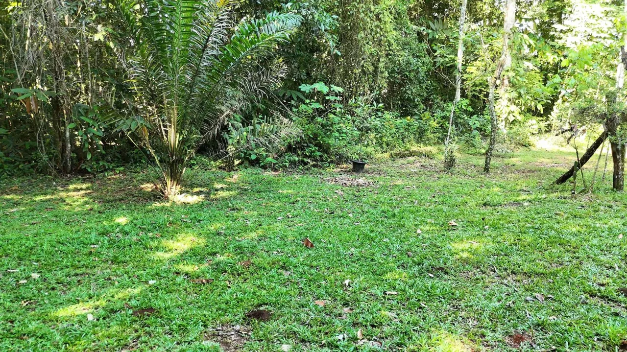 Stunning Land of 6,545 M² For Sale In Peñas Blancas, Pérez Zeledón – Nature, Privacy, And Comfort — photo 2