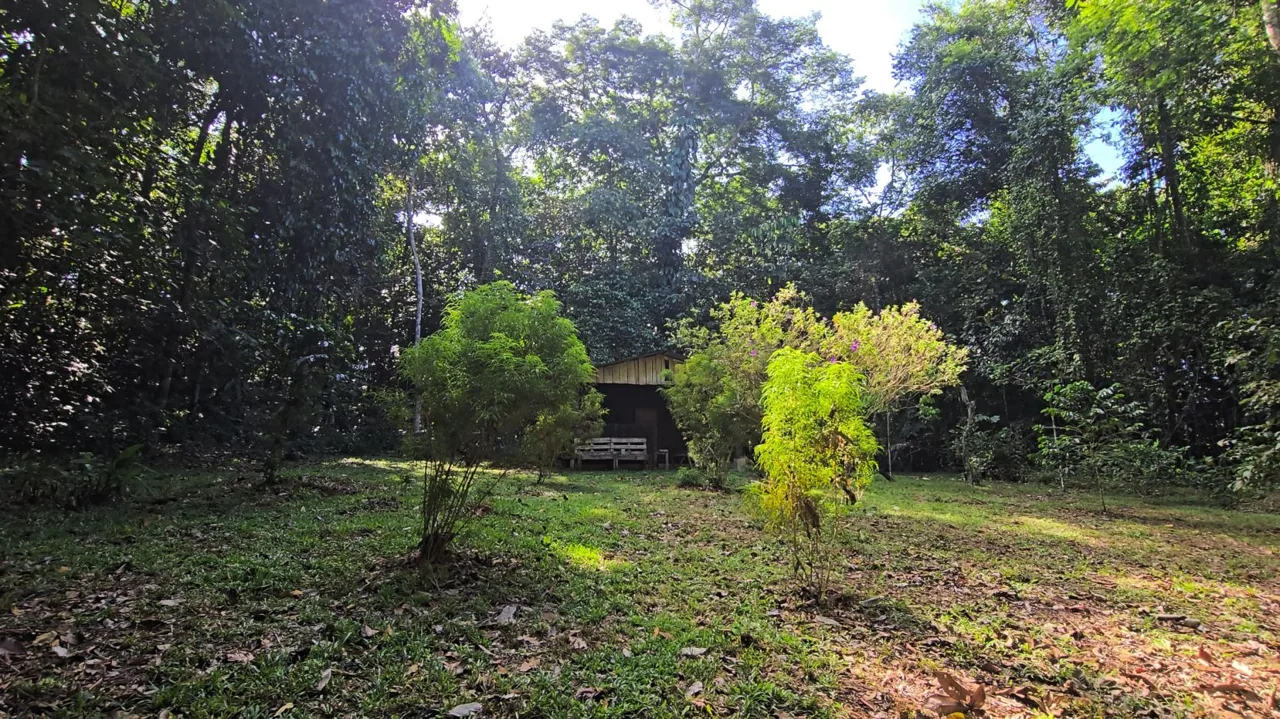 Stunning Land of 6,545 M² For Sale In Peñas Blancas, Pérez Zeledón – Nature, Privacy, And Comfort — photo 3