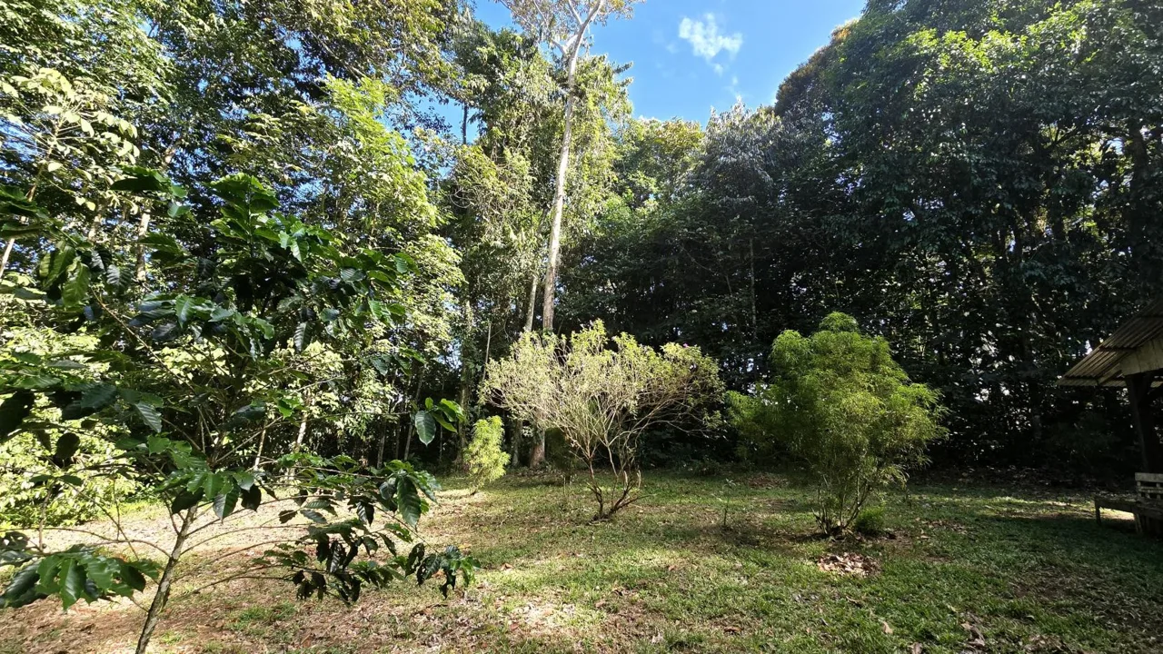 Stunning Land of 6,545 M² For Sale In Peñas Blancas, Pérez Zeledón – Nature, Privacy, And Comfort — photo 4