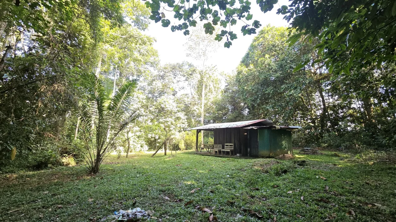 Stunning Land of 6,545 M² For Sale In Peñas Blancas, Pérez Zeledón – Nature, Privacy, And Comfort — photo 5