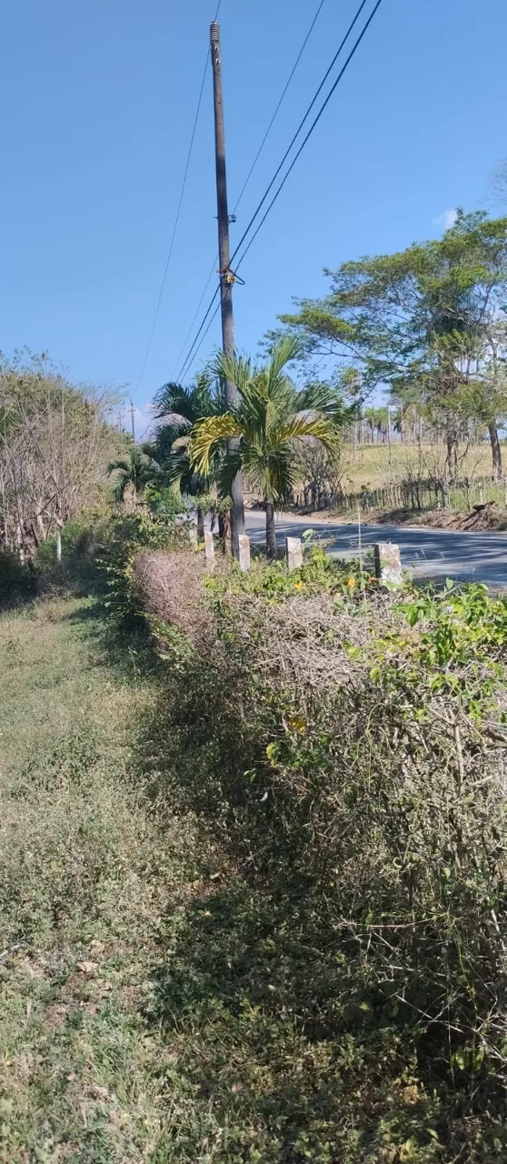 Lot | la Ceiba | Ocean view | Ready for BUILD
