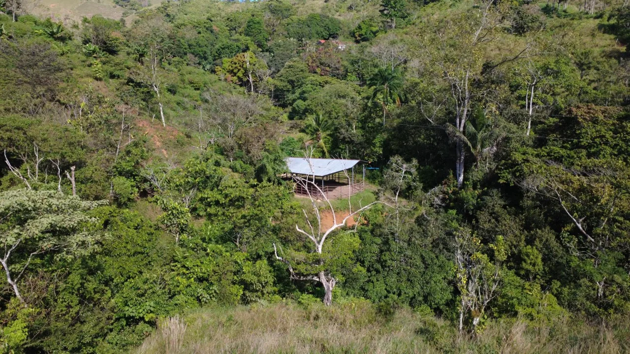 Stunning Farm For Sale In Perez Zeledon With High Development Potential — photo 5