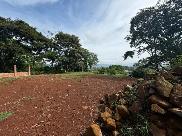 Property ideal for home, commercial on main highway