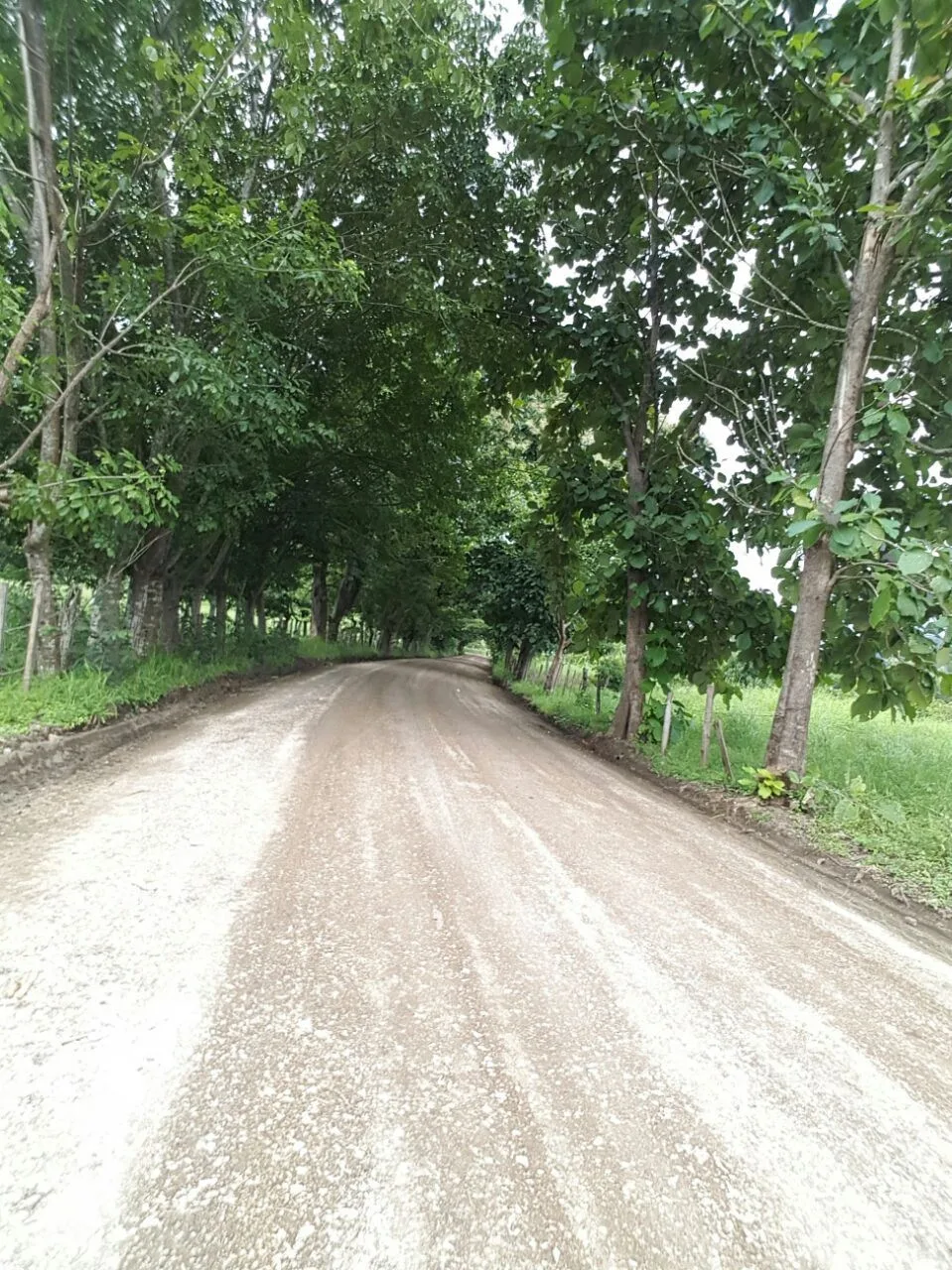 Private Lot for Construction