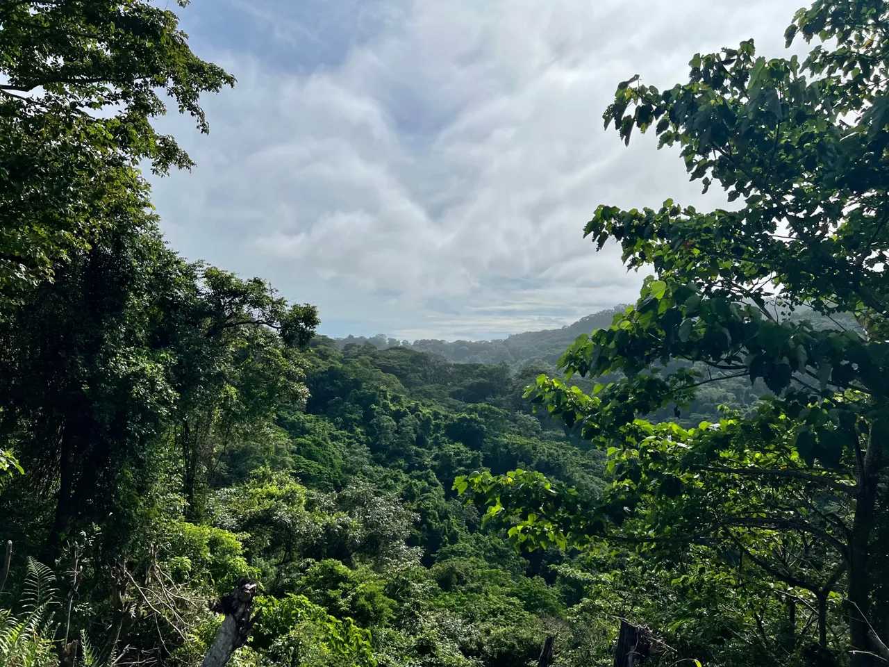 Mal Pais Coastal View