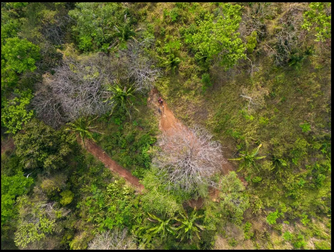 46-Hectare Property in Millal, Bejuco: Space, Nature &amp; Beach Proximity