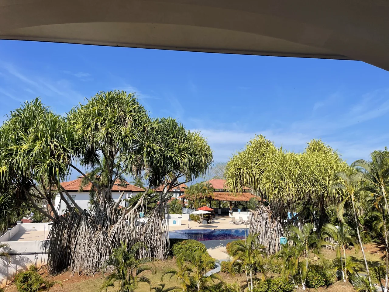 Remodeled ocean view Del Pacifico Condo