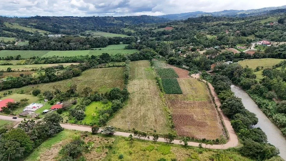 Unleash Your Potential: beautiful Flat land for sale in the heart of Pérez Zeledón. — photo 2
